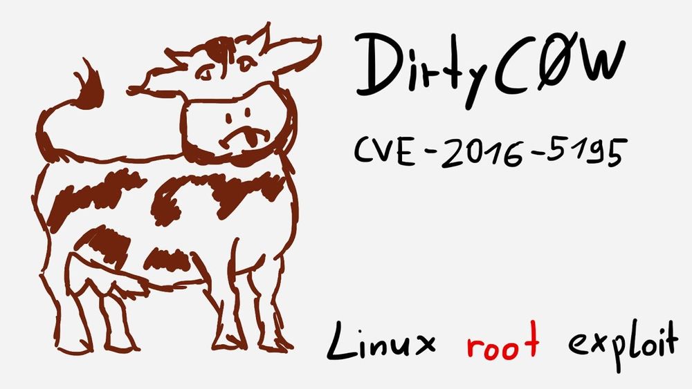 Dirty COW – Lỗ hổng nguy hiểm tồn tại 11 năm trên Linux